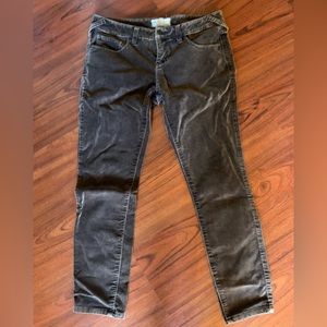 Free people pants